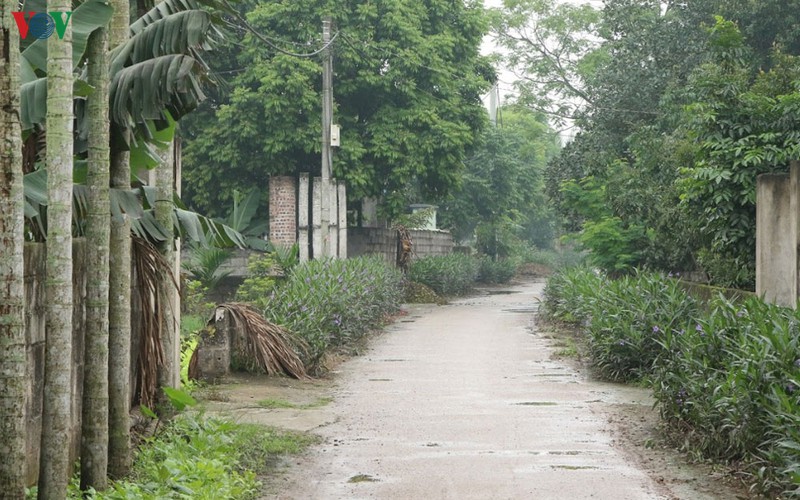 cuoc song cua nguoi dan binh nghia tram lang sau khi co ca mac covid-19 hinh 1