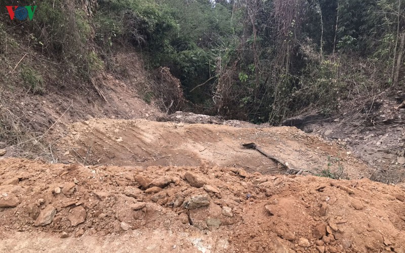 lanh dao mot chi nhanh ngan hang o dak lak ngang nhien san ui dat trai phep hinh 2