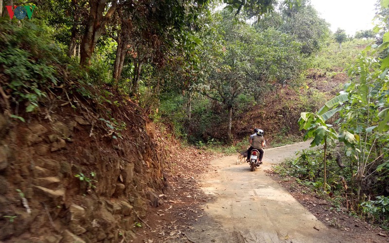 den tung ban, ra tung nha van dong hoc sinh tro lai lop hinh 1