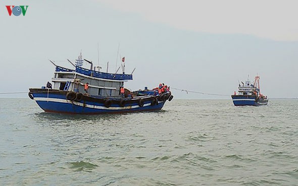 lien tiep bat giu 4 tau gia cao khai thac thuy san trai phep hinh 1