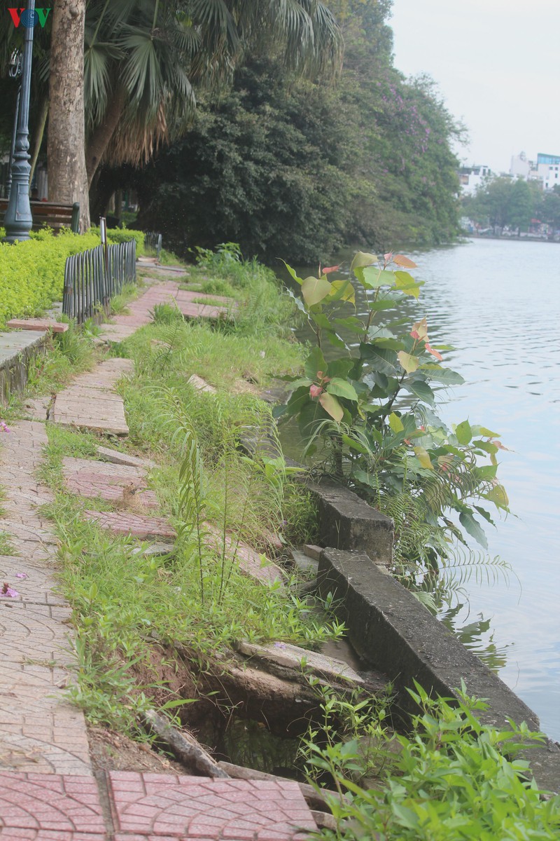 nguoi dan thu do mong lun sut quanh bo ho hoan kiem som duoc khac phuc hinh 10