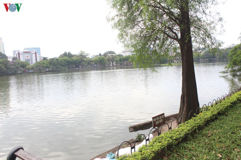 nguoi dan thu do mong lun sut quanh bo ho hoan kiem som duoc khac phuc hinh 12