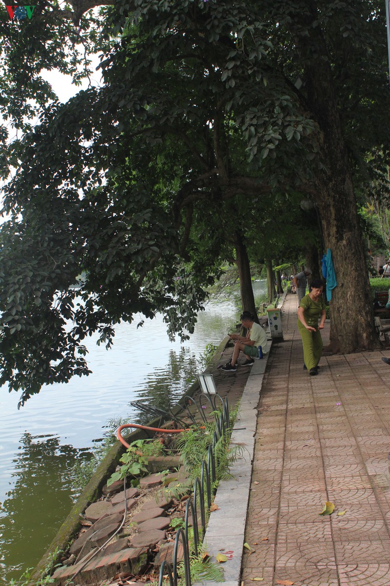nguoi dan thu do mong lun sut quanh bo ho hoan kiem som duoc khac phuc hinh 14