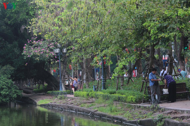 nguoi dan thu do mong lun sut quanh bo ho hoan kiem som duoc khac phuc hinh 8