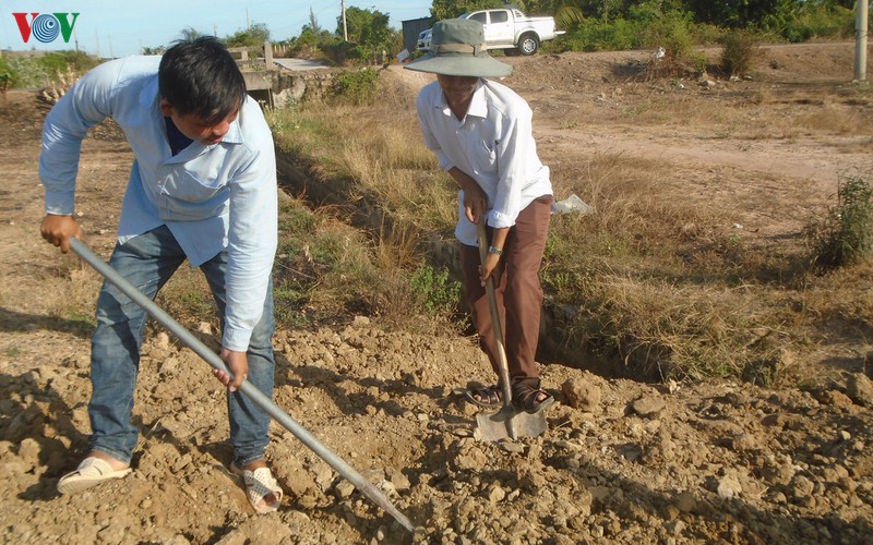 binh thuan gong minh doi mat voi han han gay gat nhat trong 10 nam hinh 5