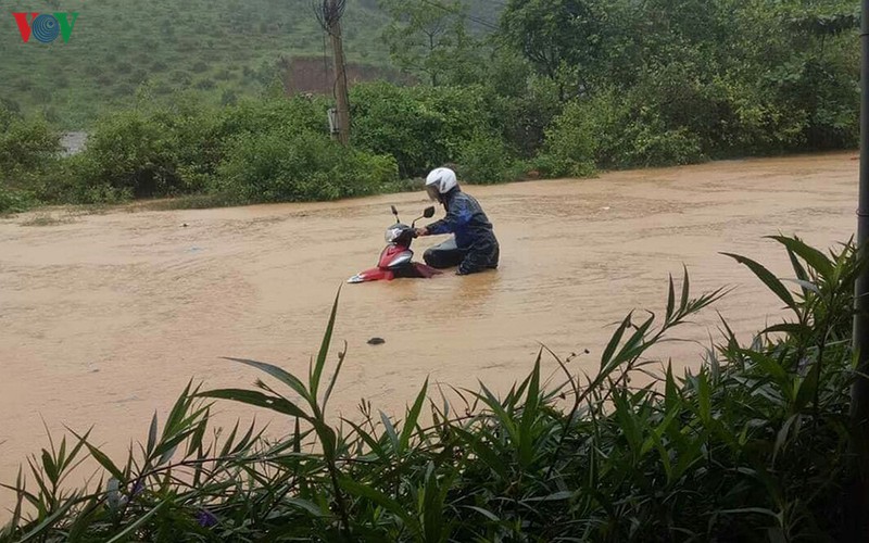 mua to gay ngap ung cuc bo nhieu noi o son la hinh 1