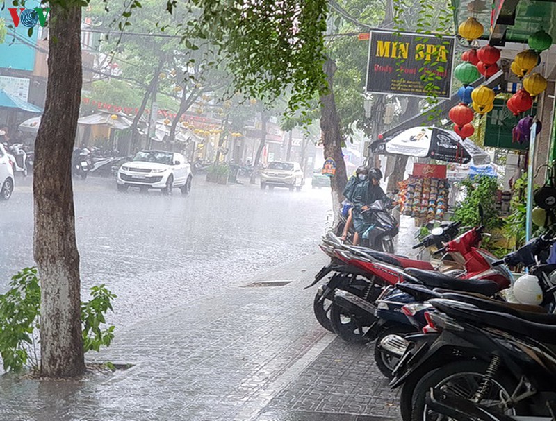 da nang: don con mua vang hinh 2