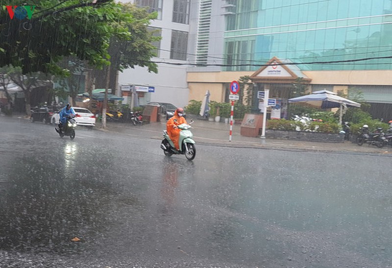 da nang: don con mua vang hinh 3