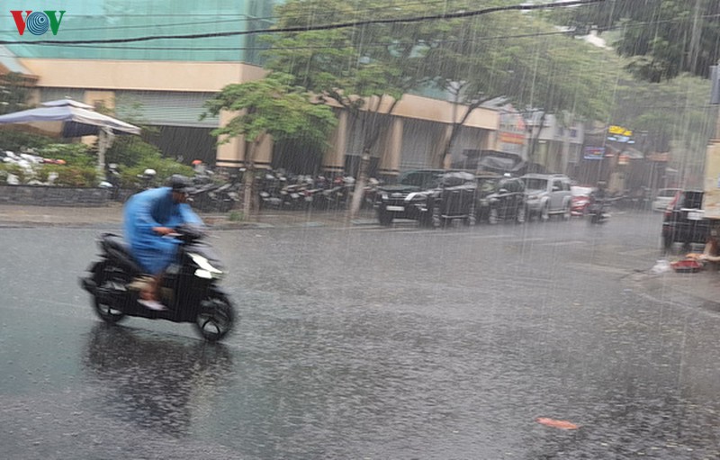 da nang: don con mua vang hinh 4