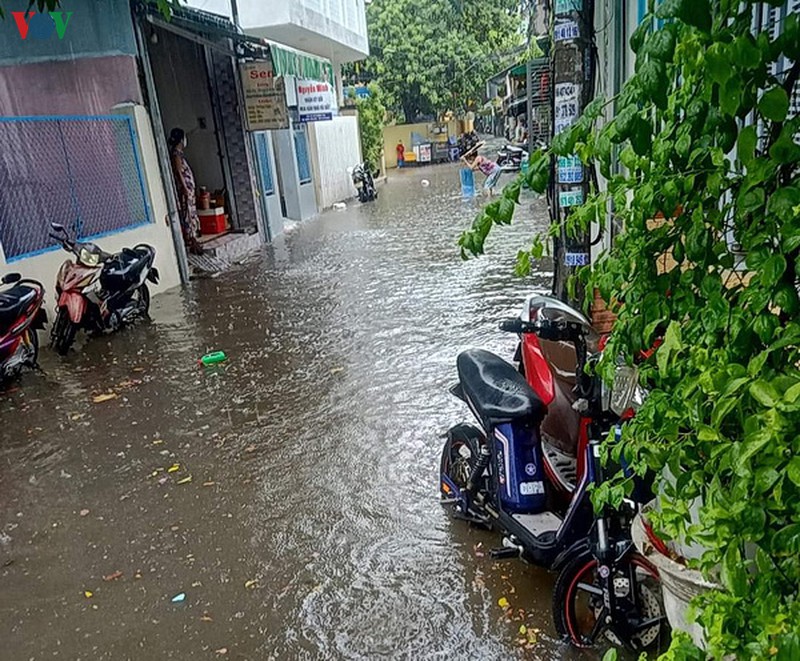 da nang: don con mua vang hinh 5