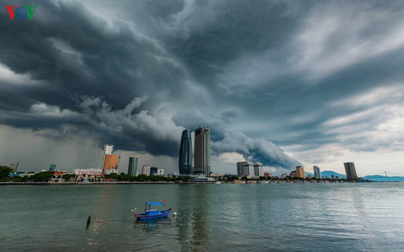 da nang: don con mua vang hinh 1