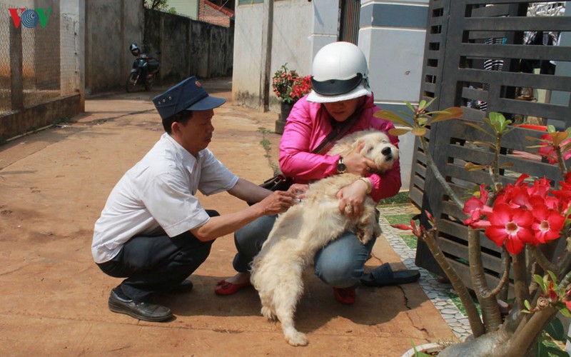 them mot truong hop tu vong do benh dai o dak lak hinh 1