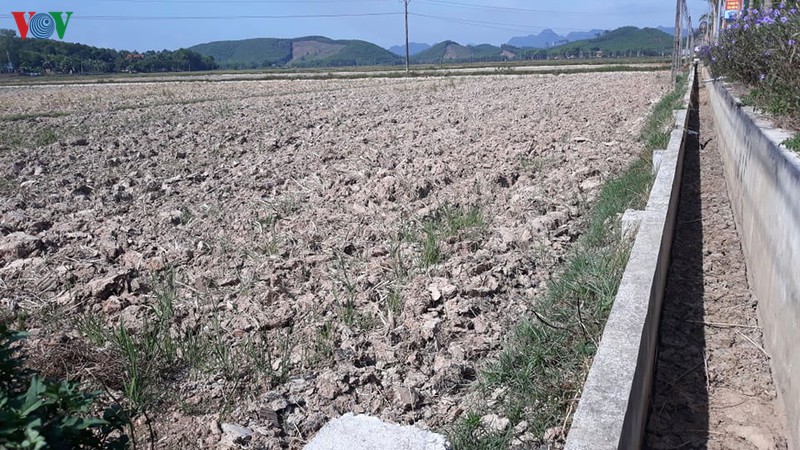 nang han lich su, nguoi dan thanh hoa phai bo ruong hinh 7