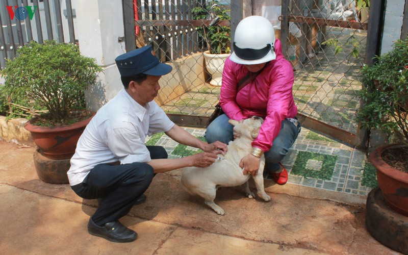  benh nhan thu 6 tai dak lak tu vong do benh dai hinh 1