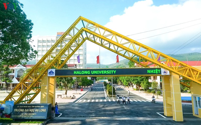 dao tao nghe o quang ninh chua du dap ung nhu cau thuc tien hinh 3