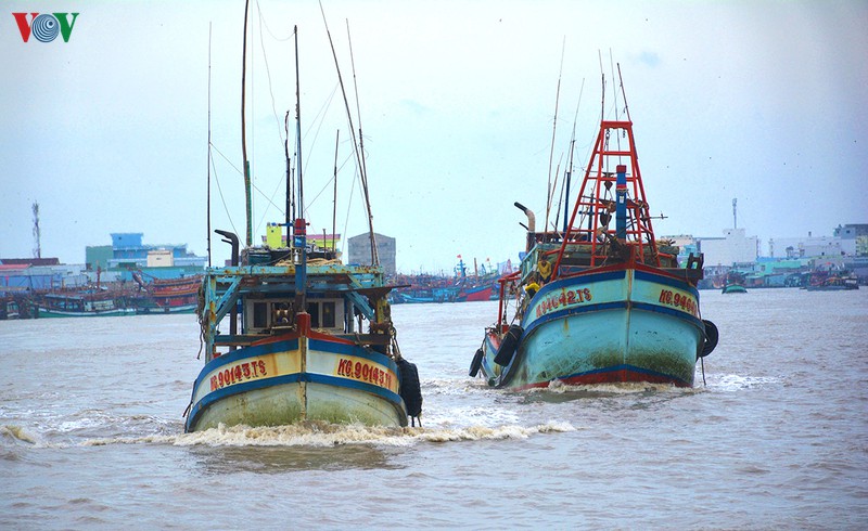 chua bao gio danh bat hai san lai am dam nhu nam 2019 hinh 2