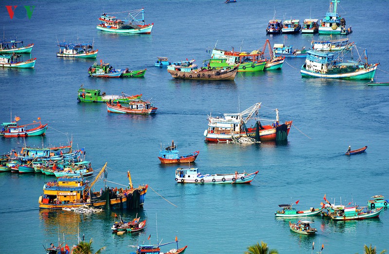 chua bao gio danh bat hai san lai am dam nhu nam 2019 hinh 1