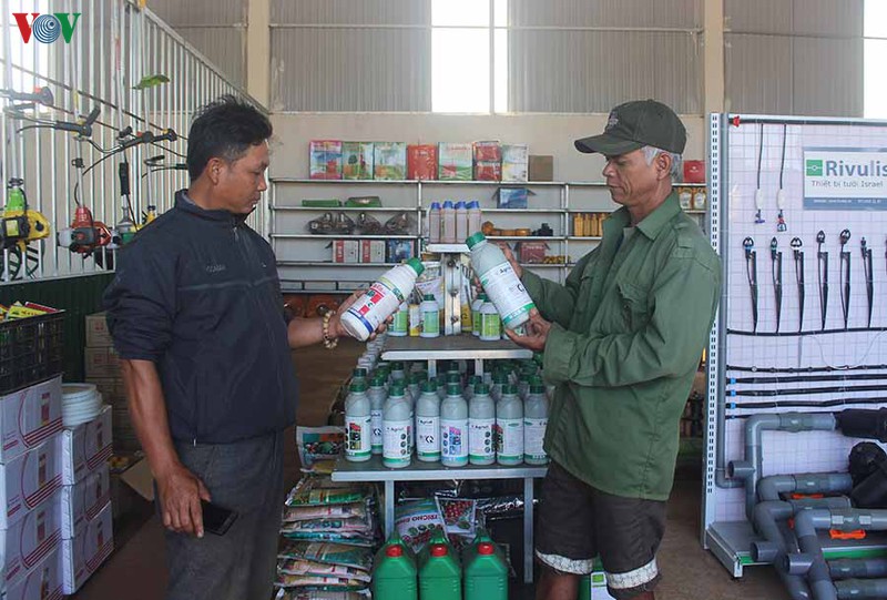 hop tac lien ket san xuat ca phe o ia mo nong - giup nguoi dan "doi doi" hinh 3