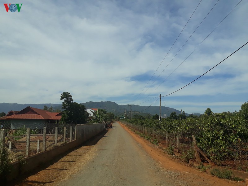hop tac lien ket san xuat ca phe o ia mo nong - giup nguoi dan "doi doi" hinh 1