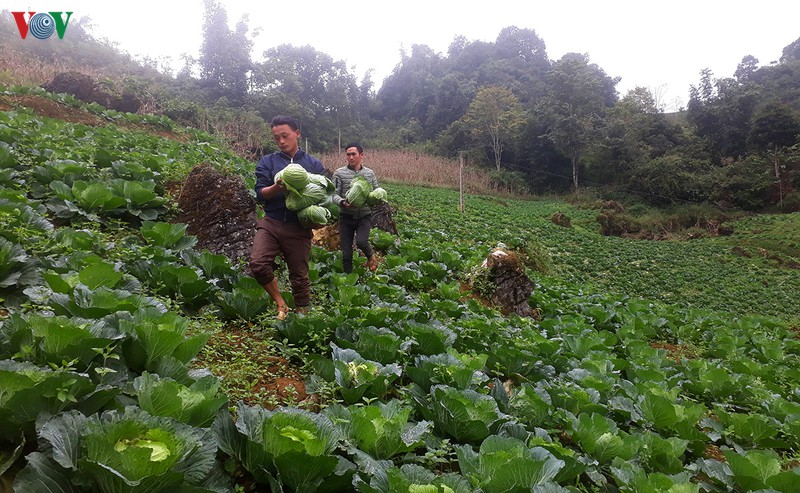 lao cai - sang tao cho nong thon moi them ben vung hinh 1