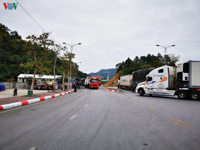 lui thoi gian thong thuong hang hoa qua cua khau do dich corona hinh 1