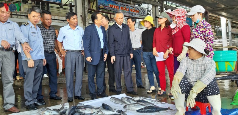 bo nn va pt&nt don tau ngu dan khai thac xuyen tet cap cang hinh 1