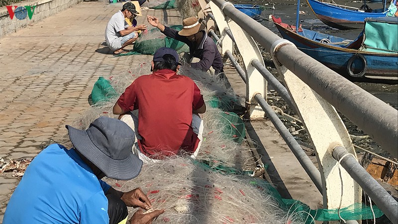 chuyen bien dau nam thuan loi, ngu dan binh thuan phan khoi vuon khoi hinh 2