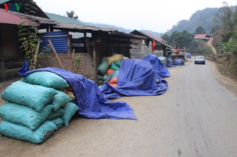 hang tram ho trong nghe o bac kan van cho doi doanh nghiep tra tien hinh 1