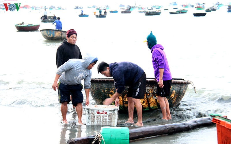 ngu dan da nang kiem tien trieu moi ngay trong mua ruoc bien hinh 4