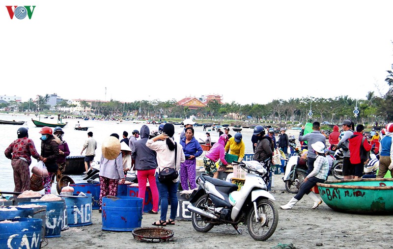 ngu dan da nang kiem tien trieu moi ngay trong mua ruoc bien hinh 2
