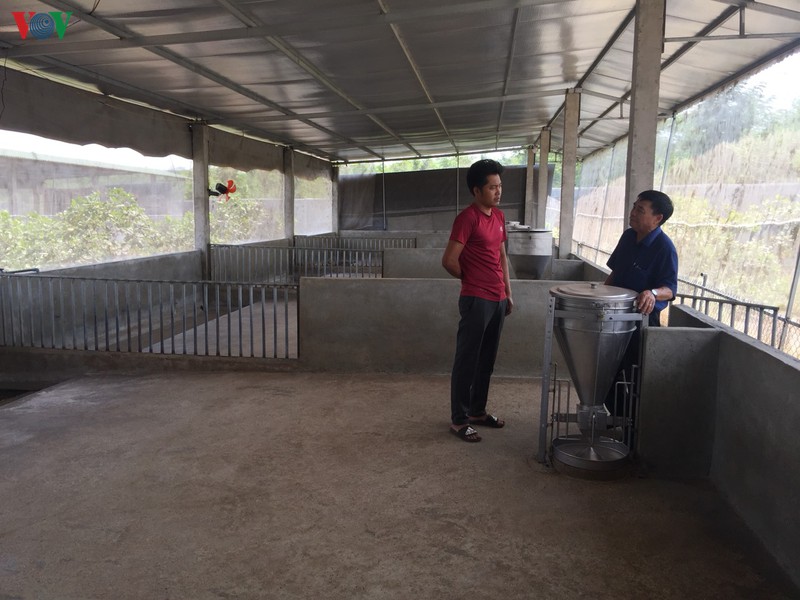 gia thi lon rat cao nhung nguoi chan nuoi khong the tai dan hinh 1