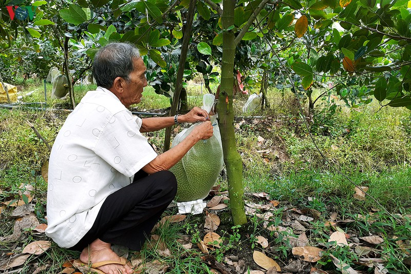 nhieu nong dan tra vinh "song khoe" truoc han man hinh 2