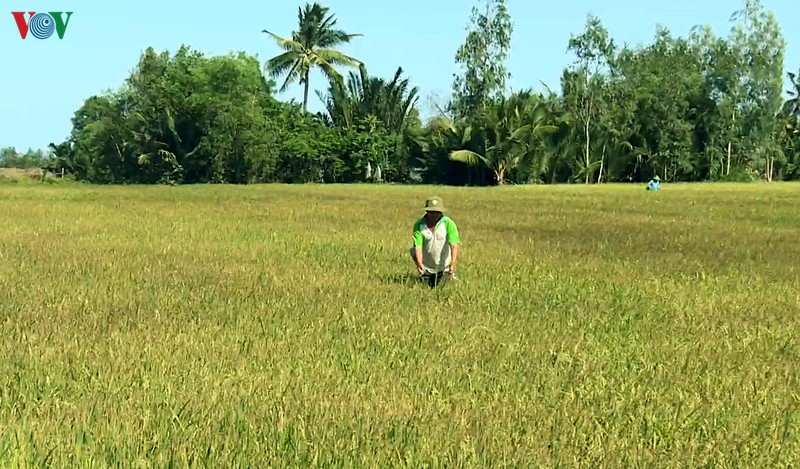 nhieu nong dan tra vinh "song khoe" truoc han man hinh 1