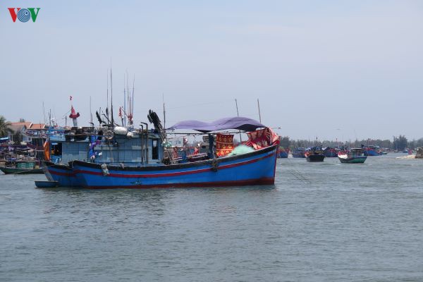 mot nua so tau ca o quang ngai chua lap dat giam sat hanh trinh hinh 1