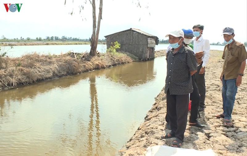 thoi tiet bat thuong, nguoi nuoi tom thiet hai hon 6.200 ha hinh 1