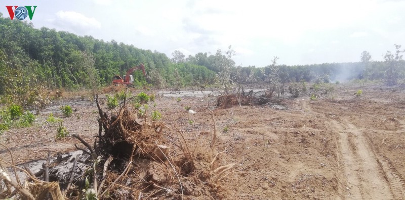 kinh doanh bat dong san kieu alibaba van tai dien o ba ria-vung tau hinh 1