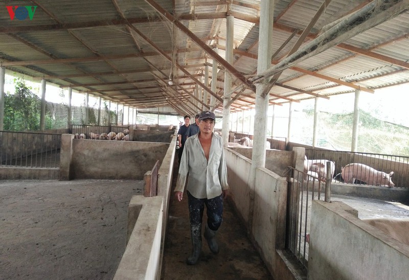 dong thap kho khan trong viec tai dan vi nguon cung lon giong khan hiem hinh 4