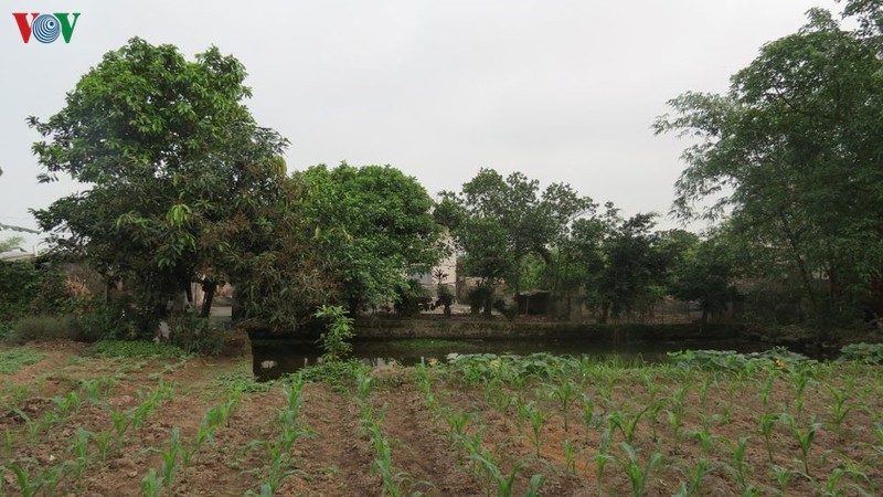 can siet quan ly de chan dau co, bo hoang dat hinh 2