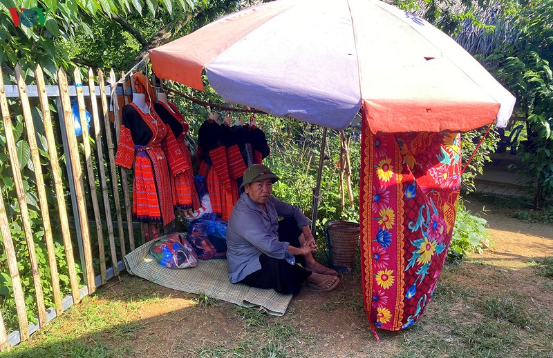 man moc chau vao mua thu hoach, nong dan kiem tien trieu moi ngay hinh 13