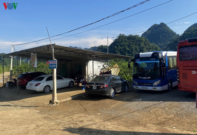 man moc chau vao mua thu hoach, nong dan kiem tien trieu moi ngay hinh 7