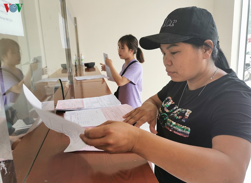 xuat khau qua vai tuoi qua cua khau giam manh hinh 2