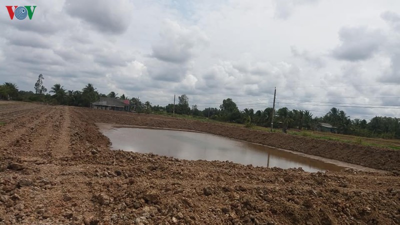 khac phuc hien trang viec dao ao dua nuoc man trong vung ngot hoa nuoi thuy san hinh 1