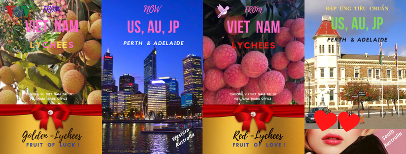 9 tan qua vai tuoi viet nam sap nhap cang australia hinh 1