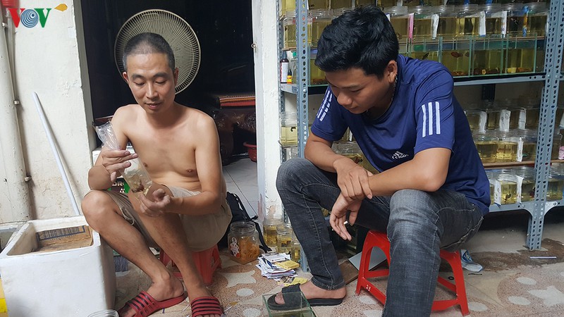 kiem tien trieu moi thang tu thu choi ca ngoai gia re hinh 3