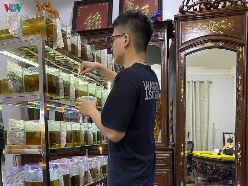 kiem tien trieu moi thang tu thu choi ca ngoai gia re hinh 5
