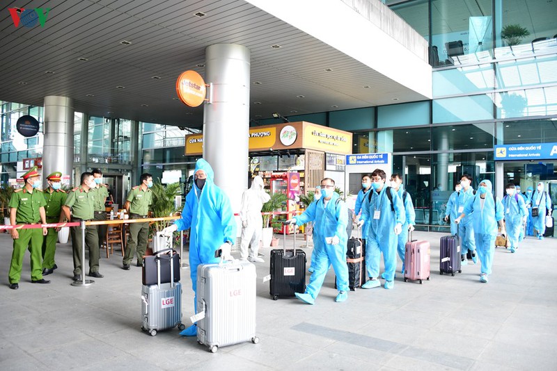 270 chuyen gia han quoc nhap canh, cach ly tai hai phong hinh 1