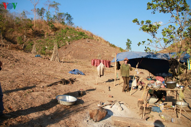 bai toan kho cho 345.000 ha dat lam nghiep va 150.000 ho dan hinh 1