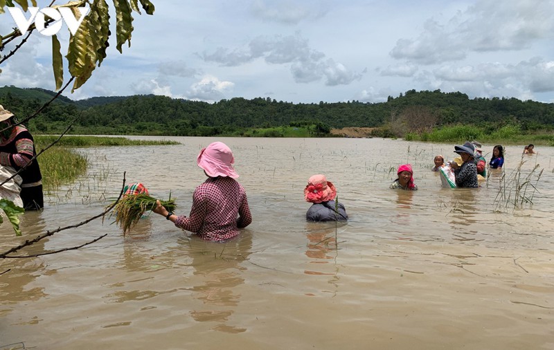 du an thuy loi 4.400 ty o dak lak: bat cap, tac trach kho ngo hinh 2