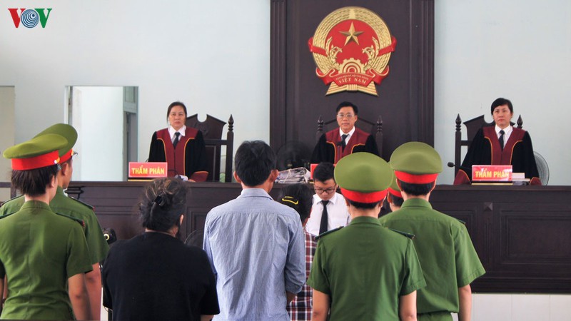 toa tuyen y an 8 nam tu voi 3 doi tuong gay roi o binh thuan hinh 1
