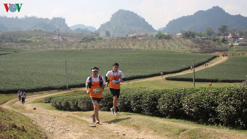 pha vo ky luc cu ly 70km giai marathon tai moc chau  hinh 1